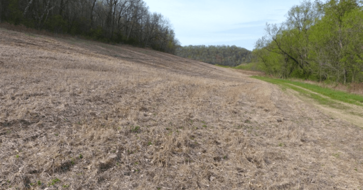 Dealing With Dry Weather Food Plots
